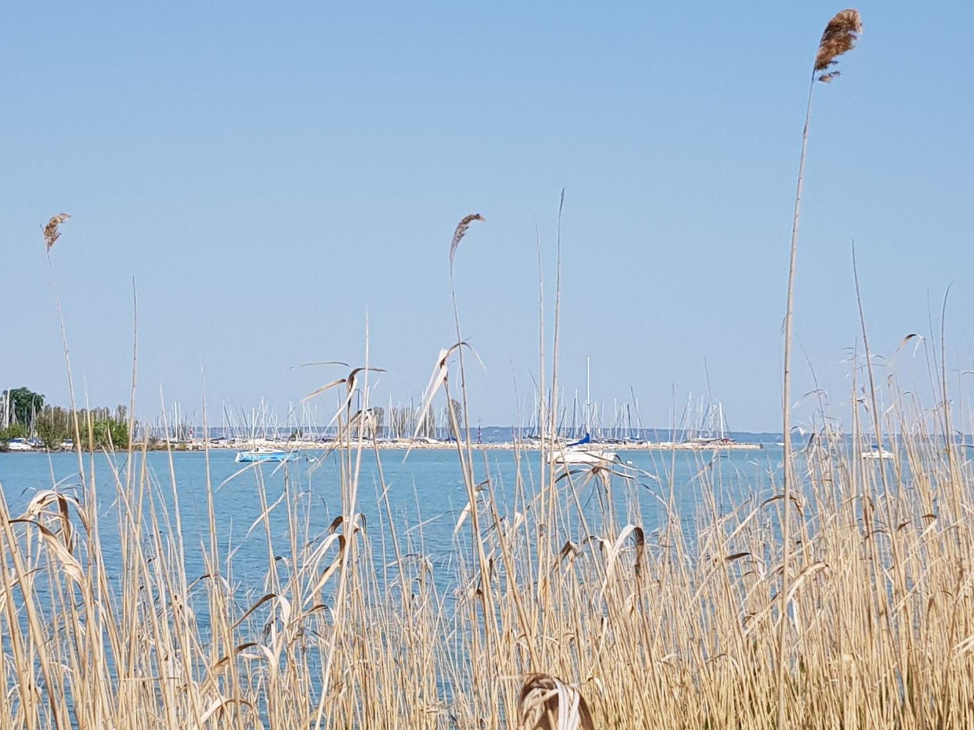 Coastline Balaton Apartment Alsóörs Exteriör bild